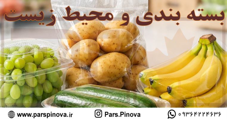 نقش بسته بندی در جلوگیری از اتلاف مواد غذایی